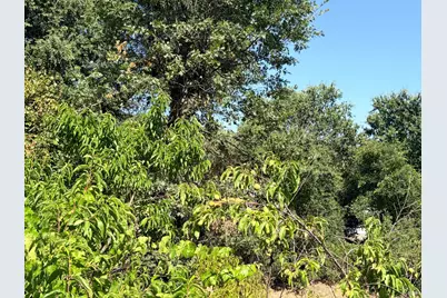 4591 N State Street, Ukiah, CA 95482 - Photo 31