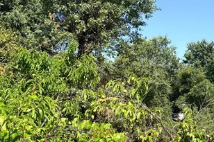 4591 N State St, Ukiah, CA 95482 - Photo 31