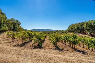 1790 Warm Springs Road, Glen Ellen, CA 95442 - Photo 63