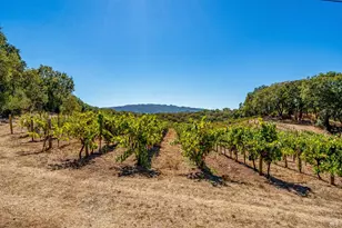 1790 Warm Springs Rd, Glen Ellen, CA 95442 - Photo 63