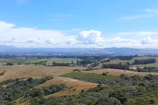 7470 Roblar Rd, Petaluma, CA 94952 - Photo 51