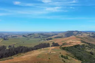 7470 Roblar Rd, Petaluma, CA 94952 - Photo 49