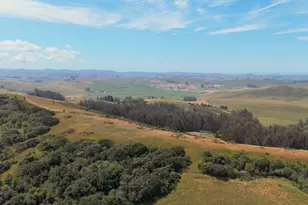 7470 Roblar Rd, Petaluma, CA 94952 - Photo 51