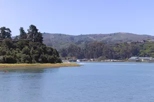 120 Seminary Dr, Mill Valley, CA 94941 - Photo 3