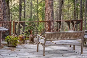 100 Blue Wolf Ranch, Callahan, CA 96014 - Photo 27