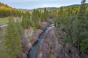 100 Blue Wolf Ranch, Callahan, CA 96014 - Photo 37