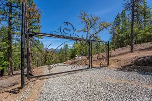 100 Blue Wolf Ranch, Callahan, CA 96014 - Photo 41