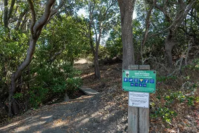 5 Edgemar Way, Corte Madera, CA 94925 - Photo 53
