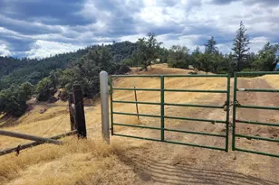 47601 Bentley Ridge, Covelo, CA 95428 - Photo 29