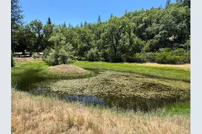 47601 Bentley Ridge, Covelo, CA 95428 - Photo 11