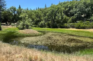 47601 Bentley Ridge, Covelo, CA 95428 - Photo 11