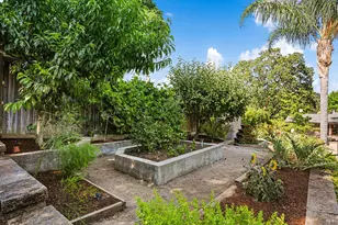 41 Sunnyside Ave, San Anselmo, CA 94960 - Photo 65