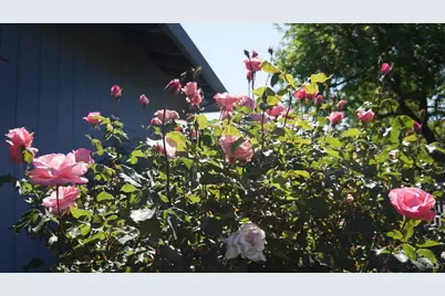 8817 Hood Mountain Circle, Santa Rosa, CA 95409 - Photo 65