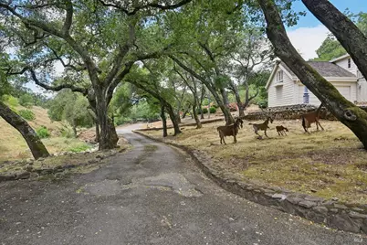 7768 Silverado Trail, Napa, CA 94558 - Photo 5