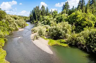 9870 River Rd, Forestville, CA 95436 - Photo 13