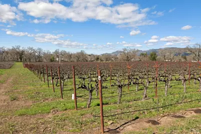 1180 Monticello Road, Napa, CA 94558 - Photo 9