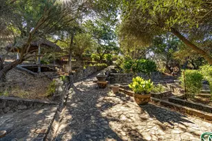 2900 Spring Mountain Rd, Saint Helena, CA 94574 - Photo 29