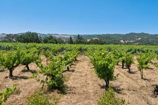 1075 Lark Ave, Sonoma, CA 95476 - Photo 9