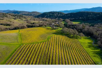 750 Conn Valley Road, Saint Helena, CA 94574 - Photo 23