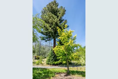 6662 St Helena Road, Santa Rosa, CA 95404 - Photo 49