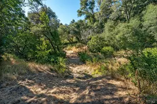 731 Gold Gulch Rd, Ukiah, CA 95482 - Photo 55