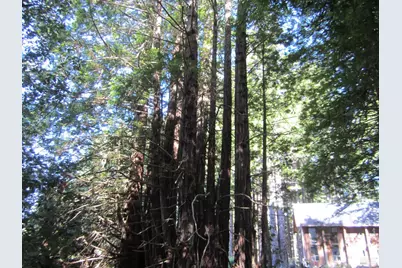 398 Packet Close Road, The Sea Ranch, CA 95497 - Photo 13