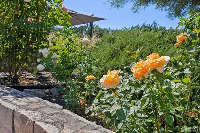 1297 Leaning Oak Drive, Napa, CA 94558 - Photo 35