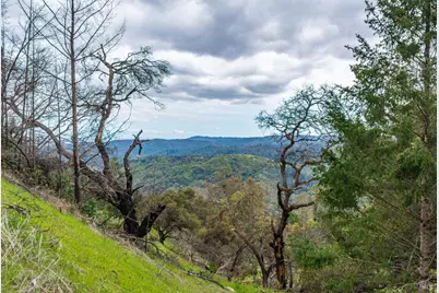 1401 Big Ridge Road, Healdsburg, CA 95448 - Photo 69