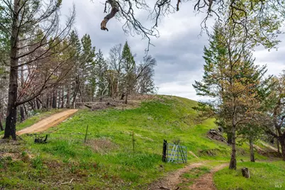 1401 Big Ridge Road, Healdsburg, CA 95448 - Photo 75