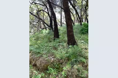 2100 Big Ridge Road, Healdsburg, CA 95448 - Photo 11