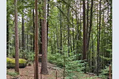 4030 Ridge Circle, Willits, CA 95490 - Photo 35