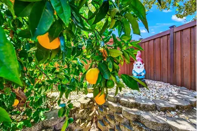 413 Crownpointe Circle, Vacaville, CA 95687 - Photo 83