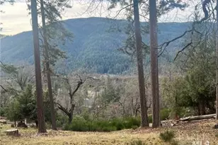 9457 Fox Dr, Cobb, CA 95426 - Photo 1