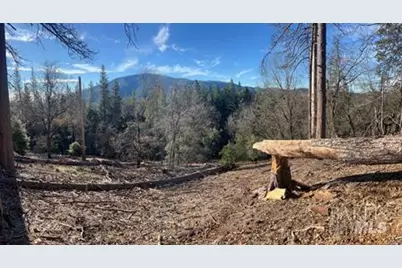 9457 Fox Drive, Cobb, CA 95426 - Photo 19