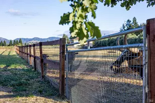 1793 Monticello Rd, Napa, CA 94558 - Photo 19