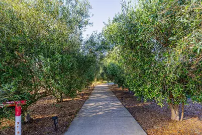 1793 Monticello Road, Napa, CA 94558 - Photo 11