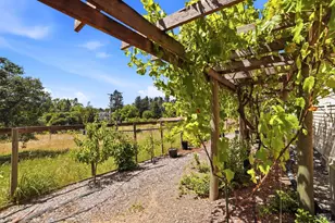 7695 Atkinson Rd, Sebastopol, CA 95472 - Photo 39