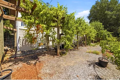 7695 Atkinson Road, Sebastopol, CA 95472 - Photo 37