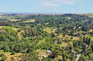 2087 Blucher Valley Rd, Sebastopol, CA 95472 - Photo 69