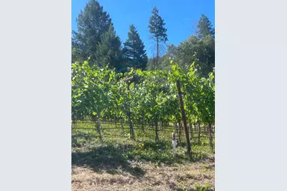 0 Diamond Mountain Road, Calistoga, CA 94515 - Photo 11