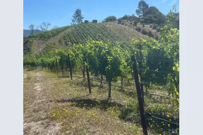 0 Diamond Mountain Road, Calistoga, CA 94515 - Photo 9