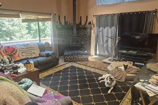 29600 Timberline Rd, Willits, CA 95490 - Photo 5