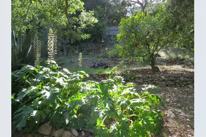 17153 Park Avenue, Sonoma, CA 95476 - Photo 43