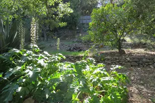 17153 Park Ave, Sonoma, CA 95476 - Photo 43
