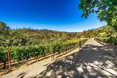 2910 Spring Mountain Road, Saint Helena, CA 94574 - Photo 7