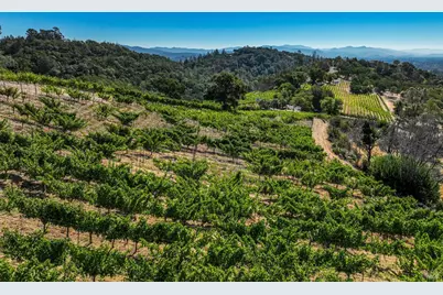 2910 Spring Mountain Road, Saint Helena, CA 94574 - Photo 5