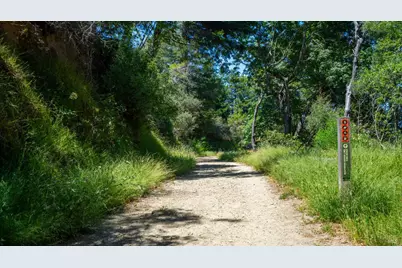 10 Fire Road, Larkspur, CA 94939 - Photo 31