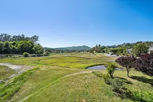 110 Seminary Dr, Mill Valley, CA 94941 - Photo 49