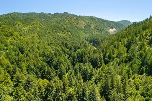 1585 Cazadero Hwy, Cazadero, CA 95421 - Photo 43