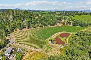 6941 Ellen Ln, Forestville, CA 95436 - Photo 47